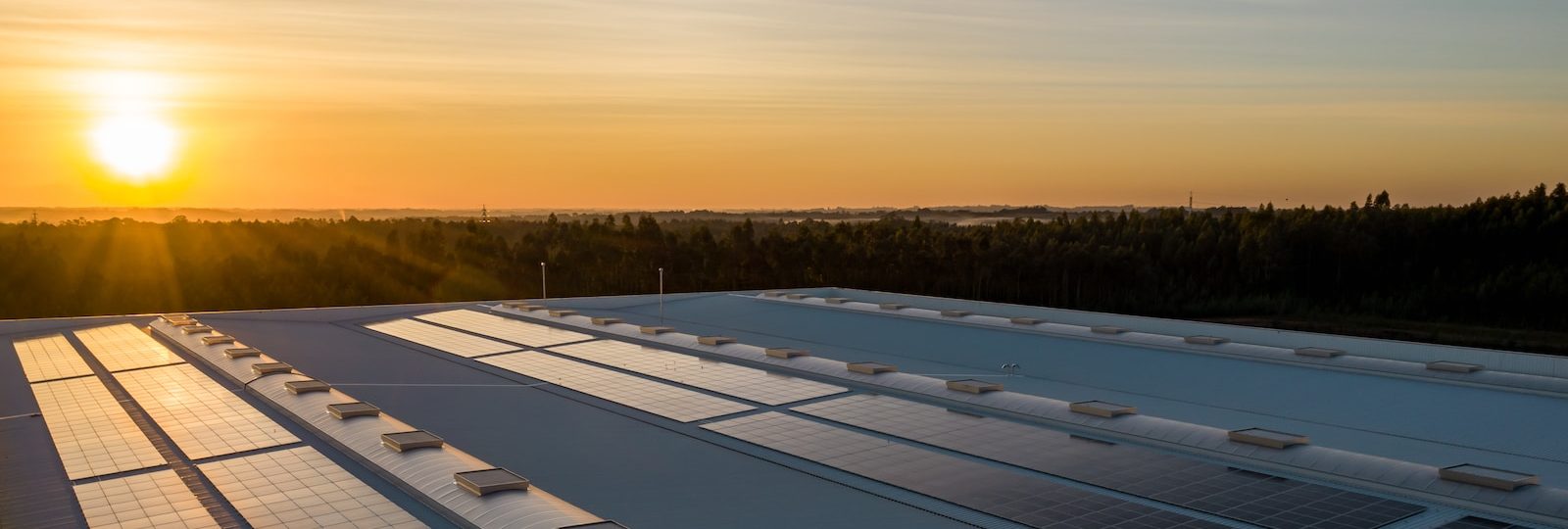 black and white solar panels